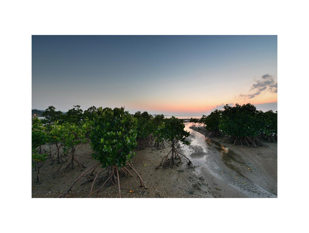 فندق Oceanview Yui Ishigaki  المظهر الخارجي الصورة